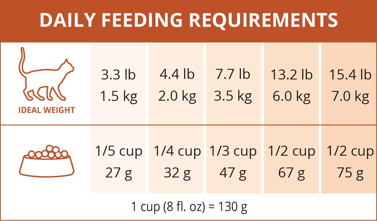 Catit daily feeding guide chart showing recommended food amounts in cups and grams based on a cat's weight in pounds and kilograms
