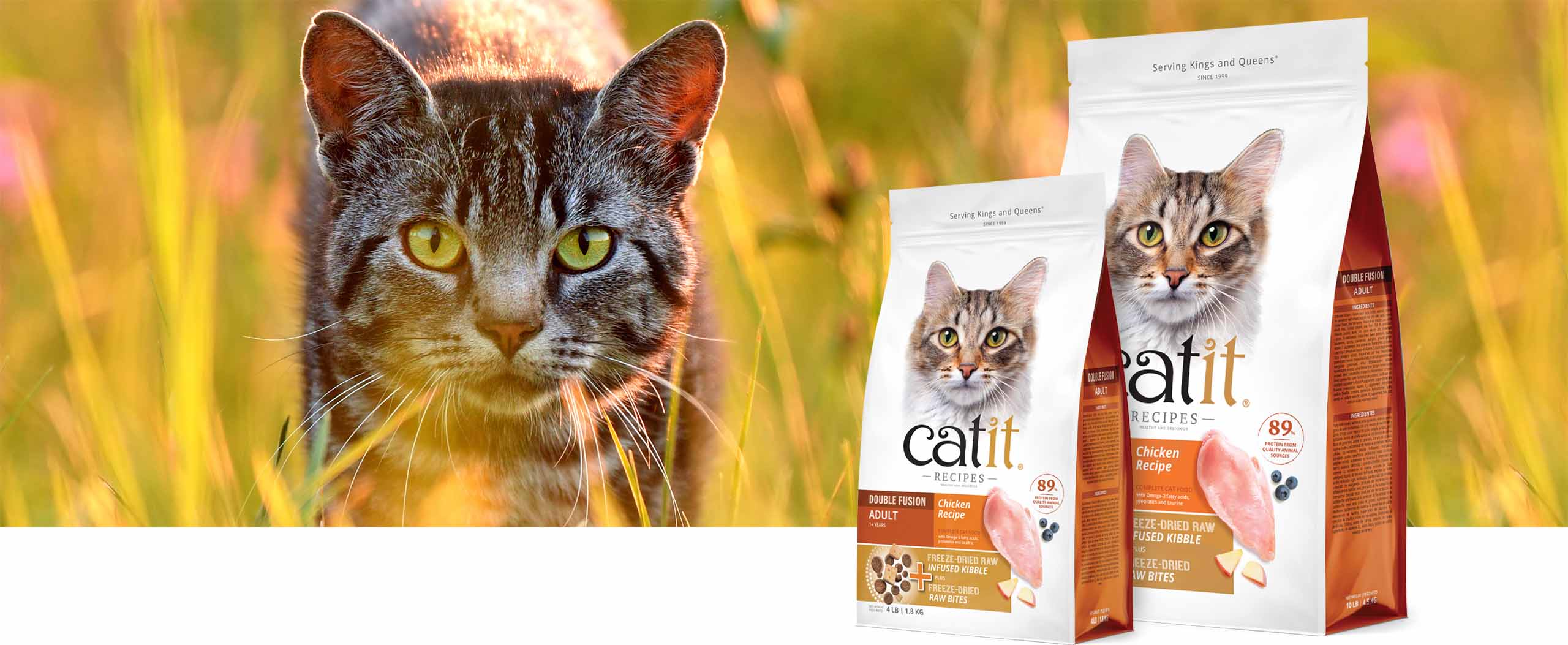 A tabby cat in a grassy field next to two bags of Catit Recipes Chicken Recipe dry cat food packaging