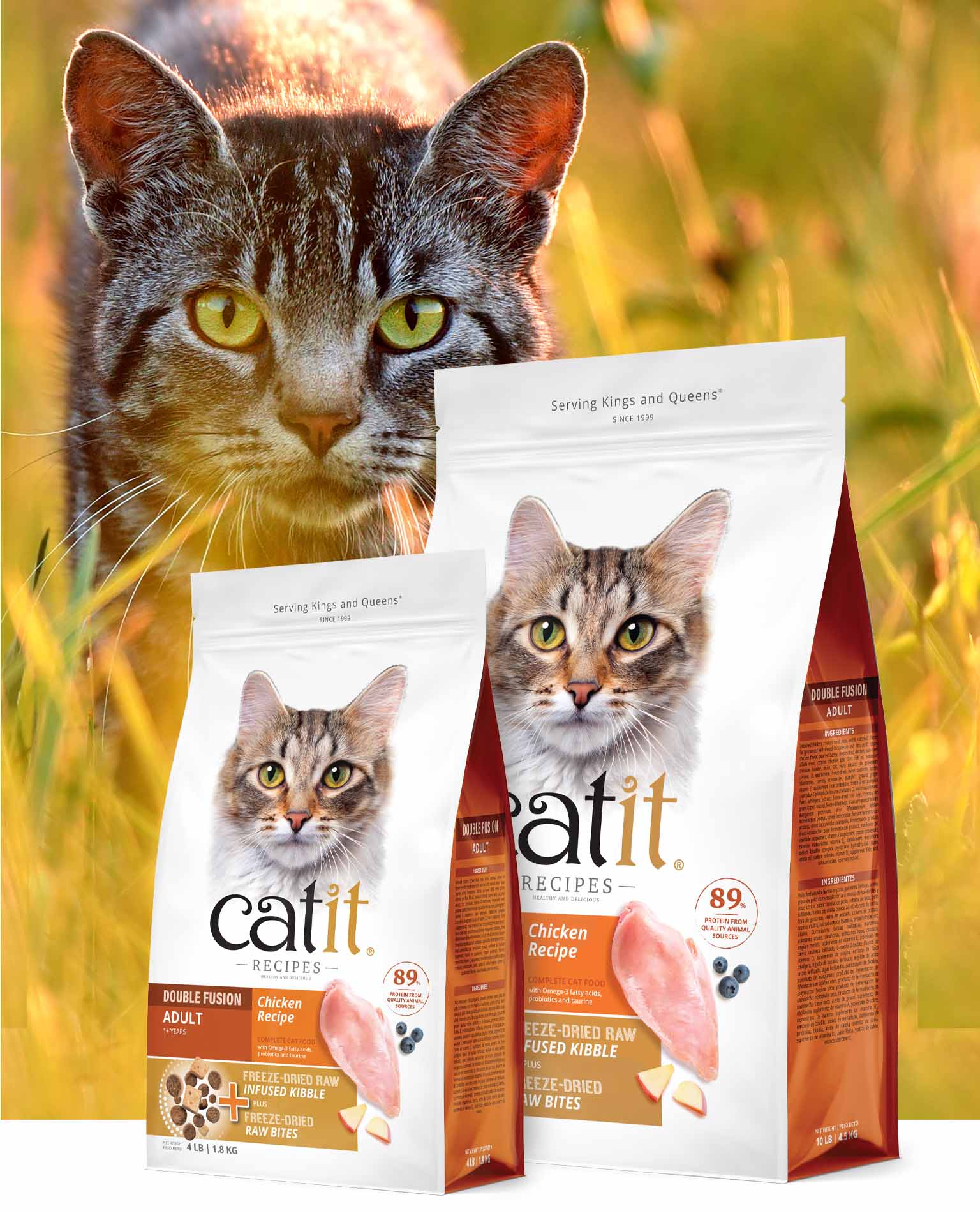 Two bags of Catit Recipes Chicken Recipe dry cat food with freeze-dried raw bites, featuring a cat in the background