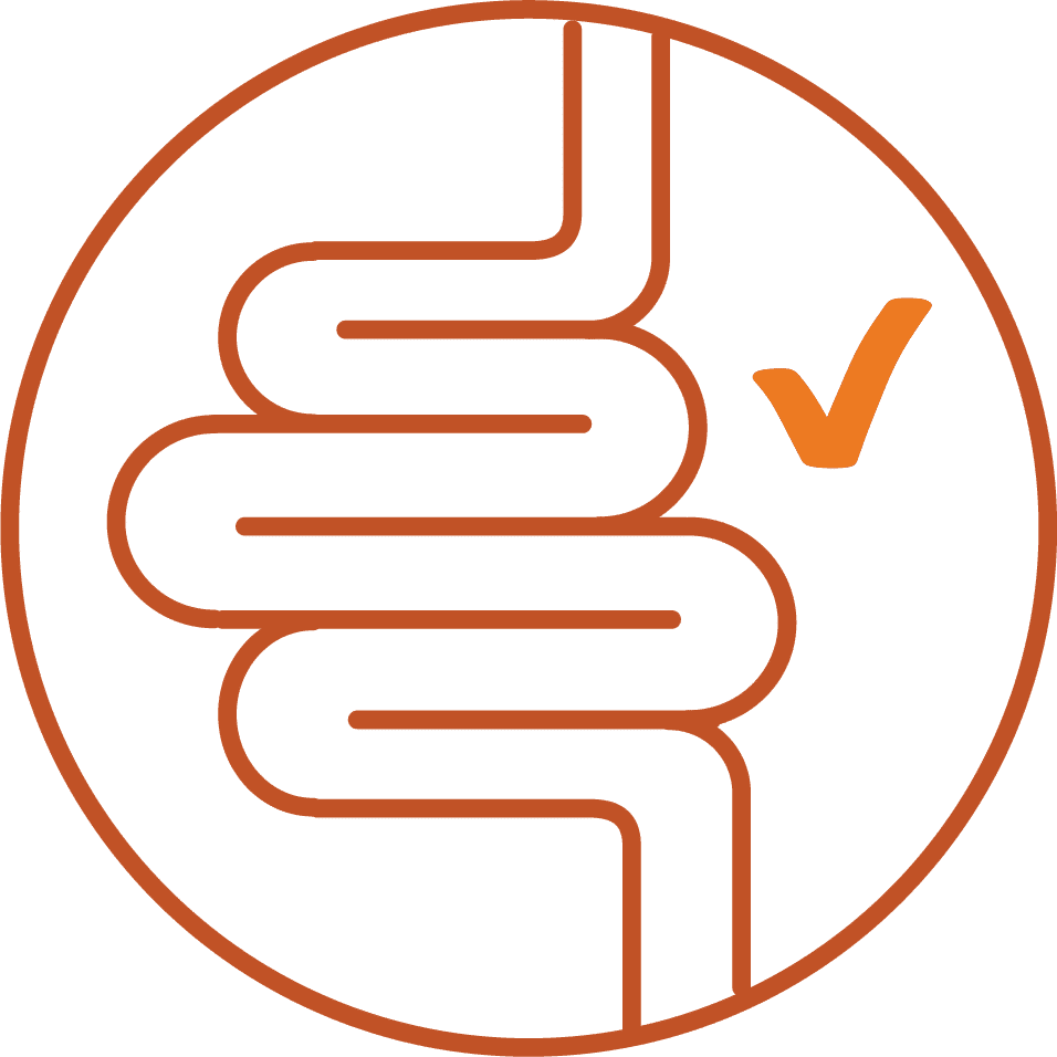 Icon of a healthy digestive tract with a checkmark, representing gut health