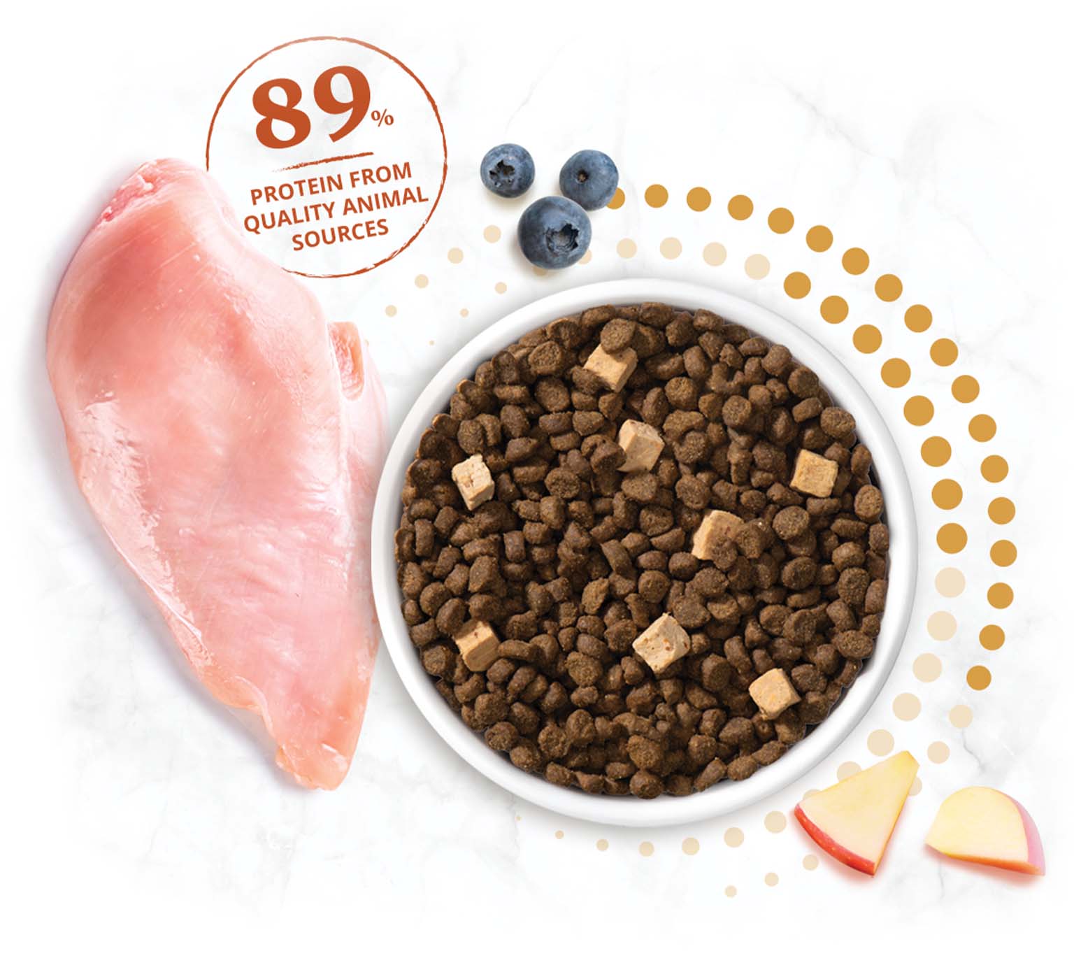 A bowl of dry cat food with chicken, blueberries, and apple slices, highlighting that 89% of the protein is from animal sources