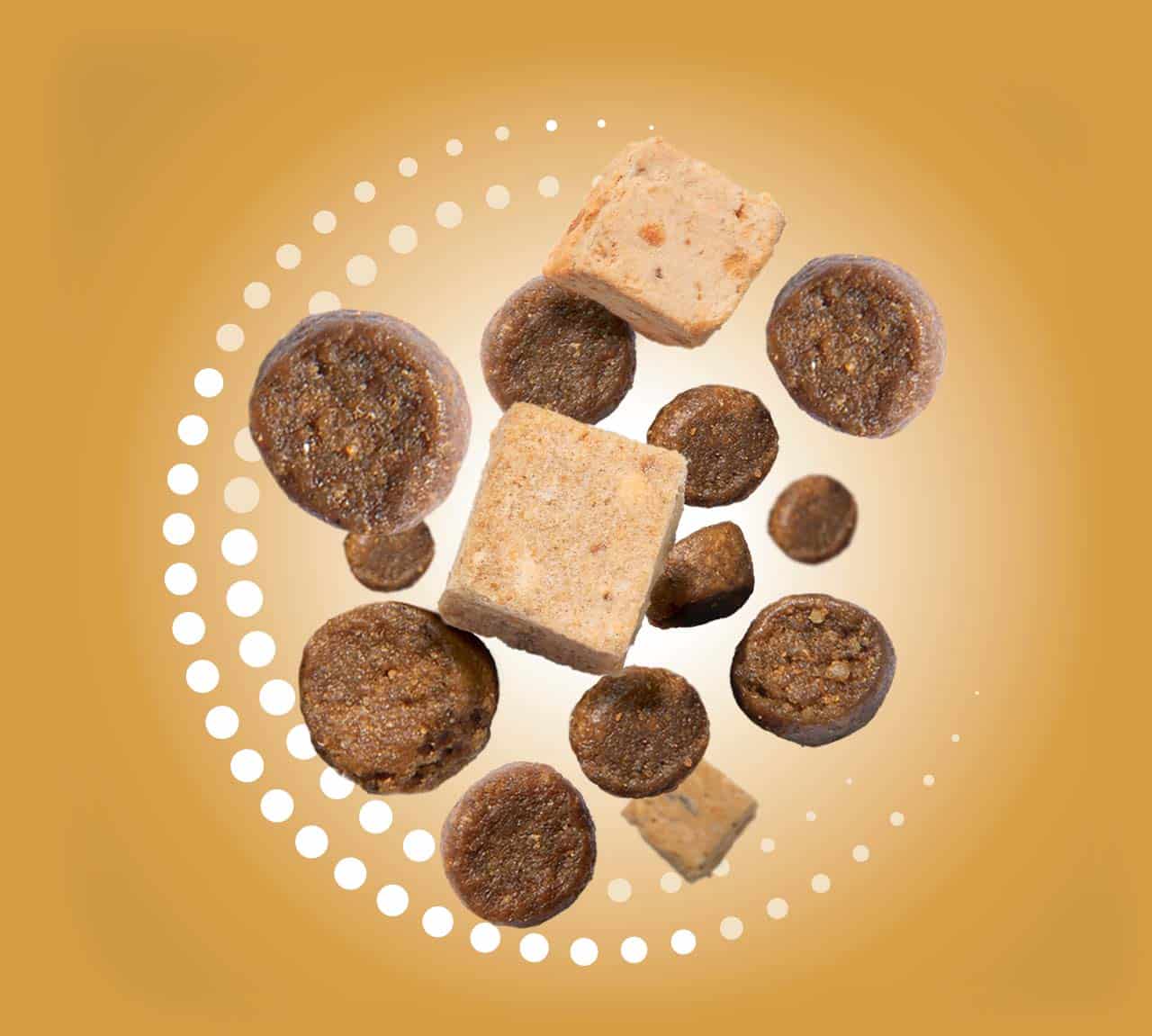 Freeze-dried cat food cubes and kibble pieces floating against a yellow background with a dotted circular pattern