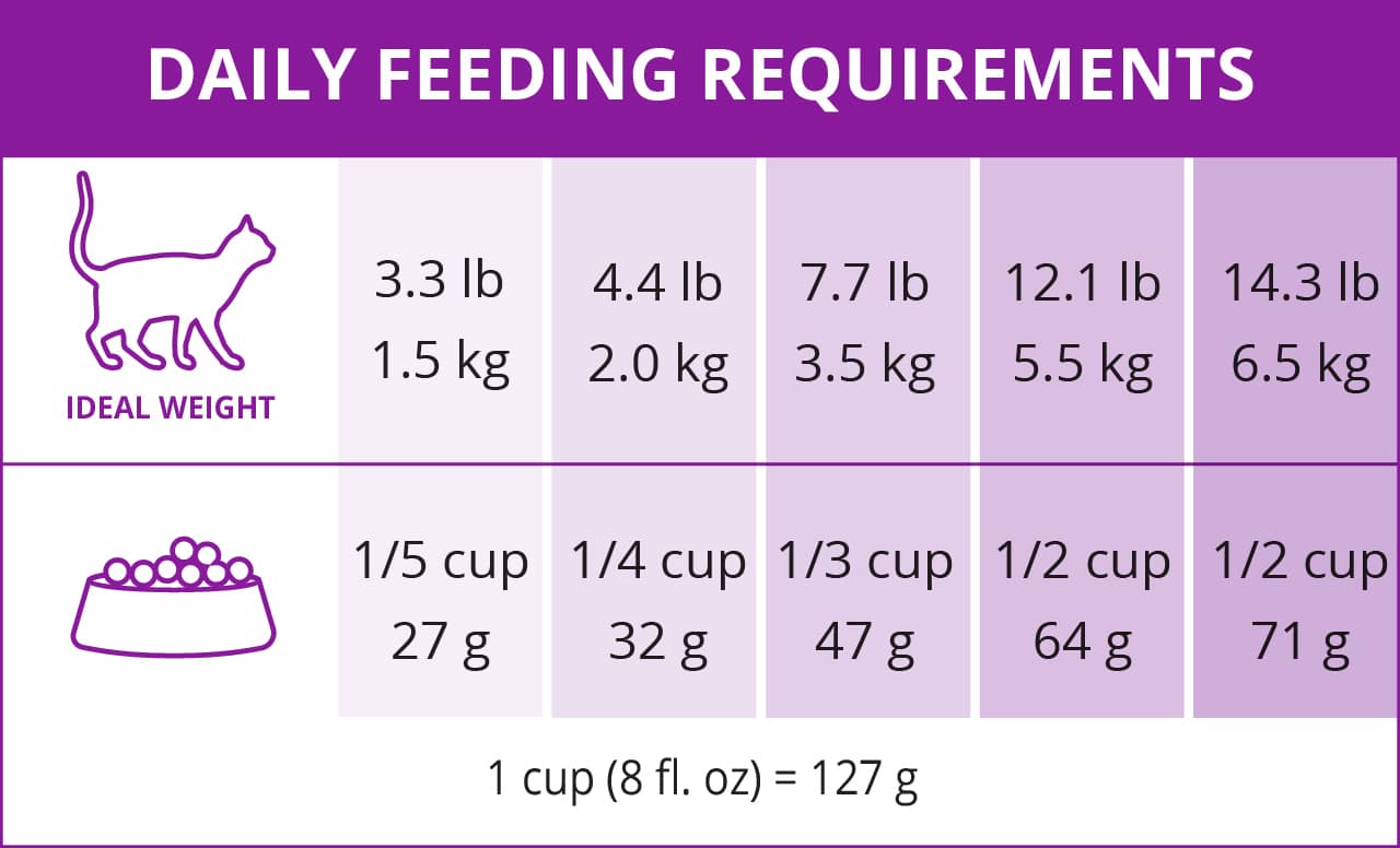 Catit daily feeding guide chart showing recommended food amounts in cups and grams based on a cat's ideal body weight