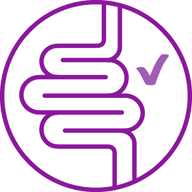 Purple icon of a digestive tract with a checkmark, representing digestive health