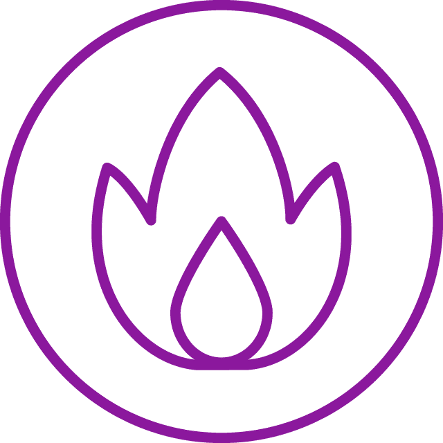 Purple icon of a flame inside a circle representing metabolism