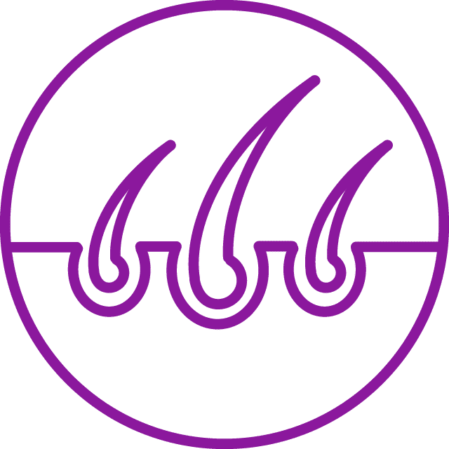 Icon of three hair follicles embedded in skin