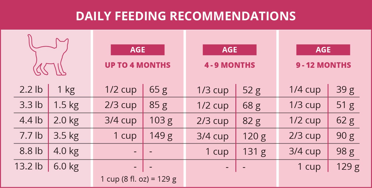 Catit kitten daily feeding chart based on weight and age in months