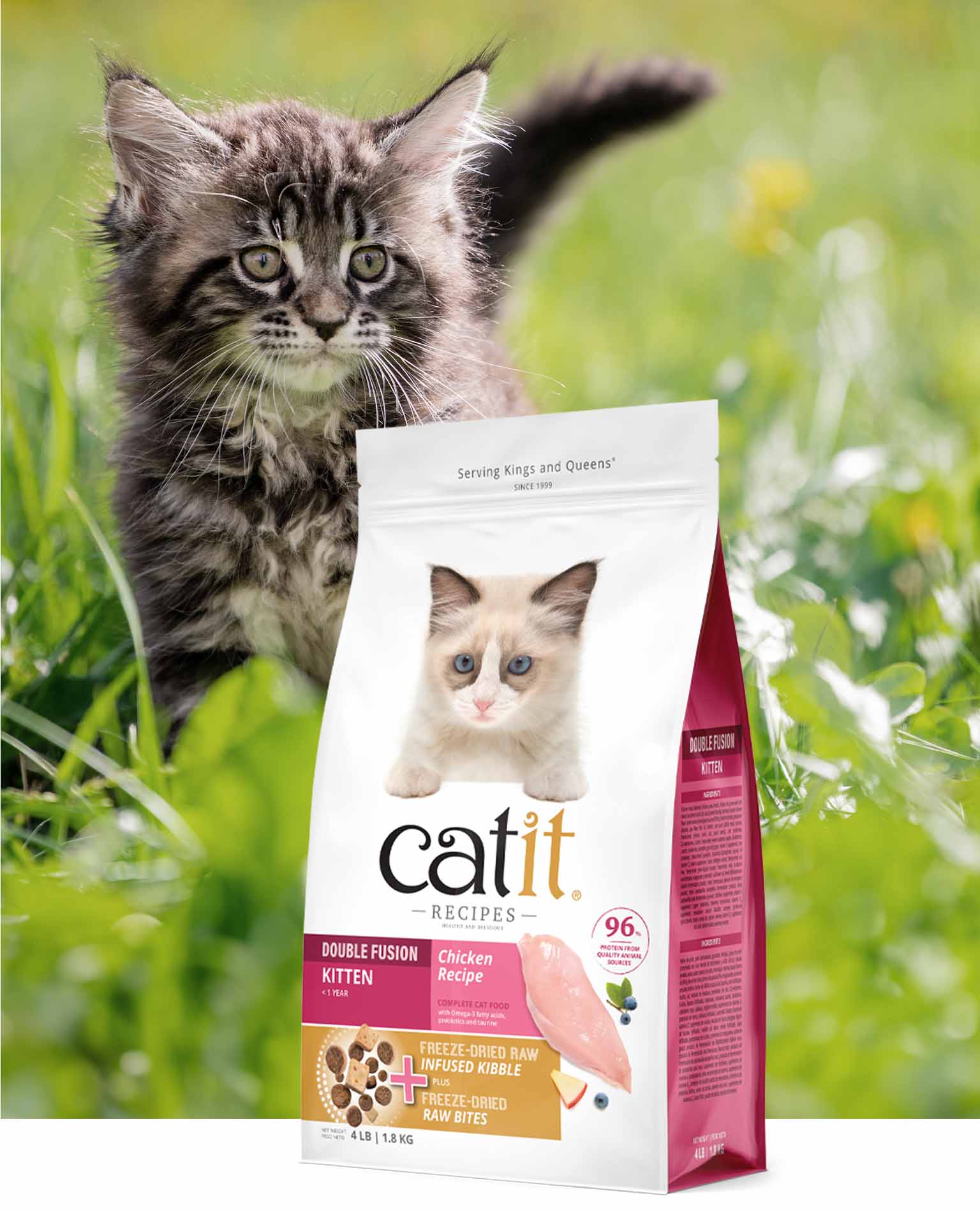 A fluffy kitten stands in a grassy field behind a bag of Catit Double Fusion Chicken Recipe kitten food
