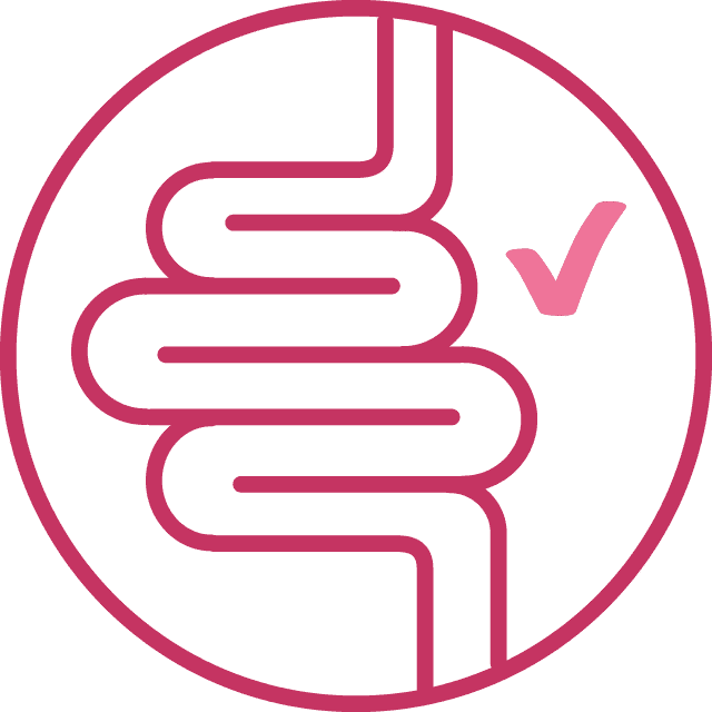 Icon of a healthy digestive tract with a checkmark, representing digestive health