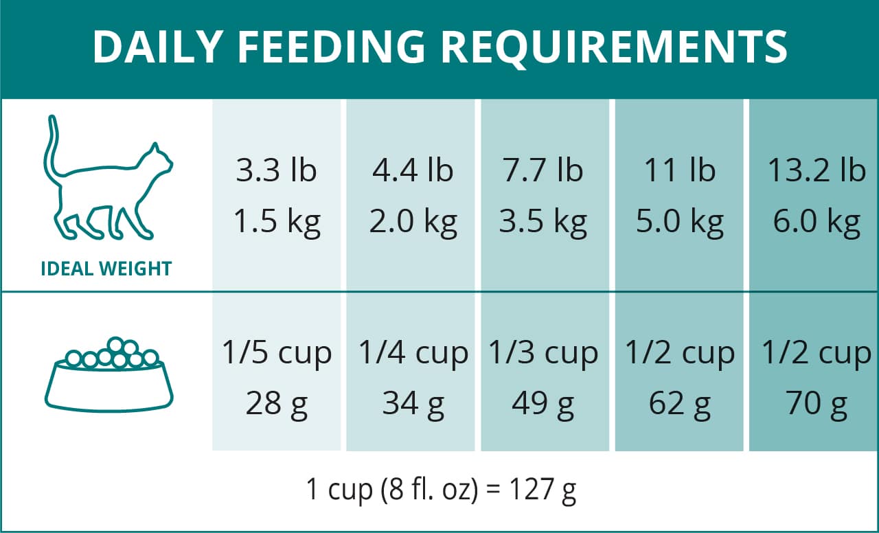 Catit daily feeding guide chart showing recommended food portions in cups and grams based on a cat's ideal body weight