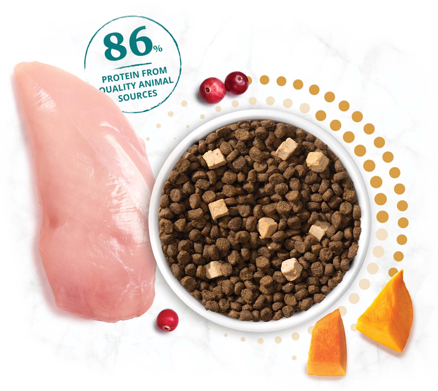 A bowl of dry cat food with chicken, cranberries, and pumpkin, highlighting that 86% of the protein is from animal sources