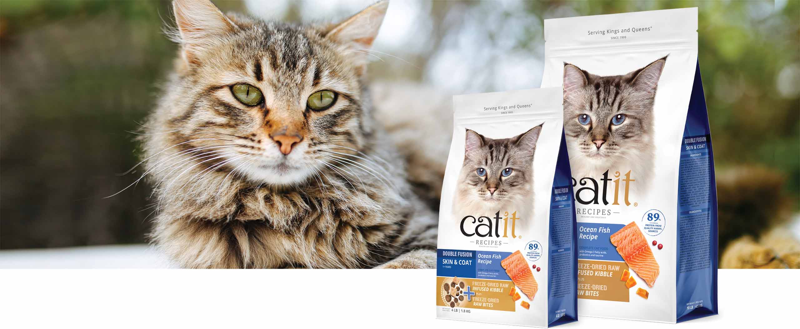 A fluffy tabby cat next to two bags of Catit Recipes Ocean Fish Recipe cat food packaging