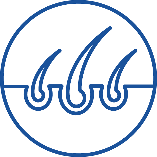 Icon of three hair follicles embedded in skin