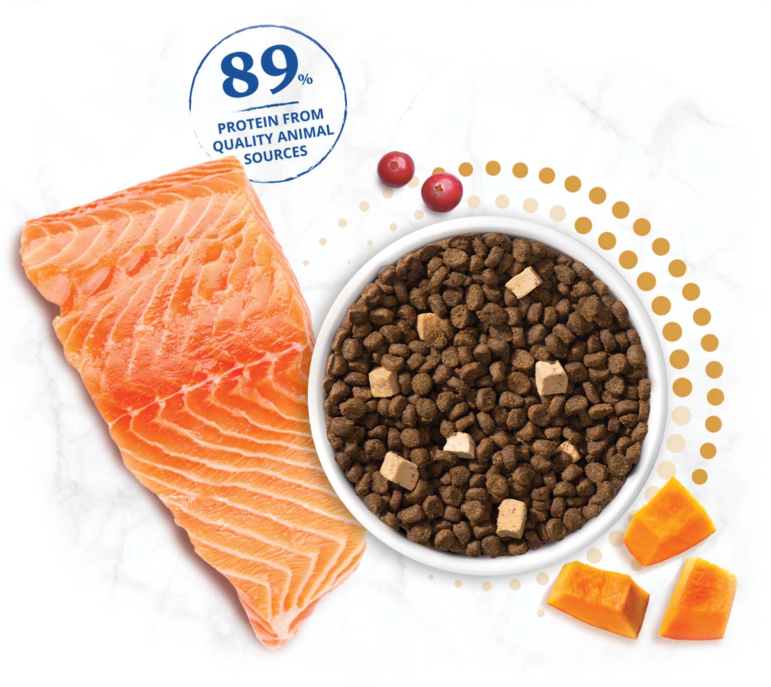 A bowl of dry cat food with salmon, cranberries, and pumpkin, highlighting that 89% of the protein is from animal sources