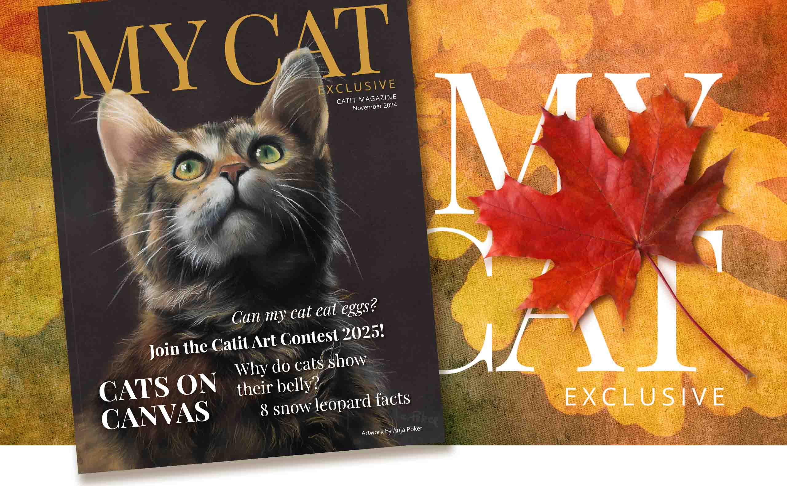 Catit magazine cover for November 2024 featuring a cat portrait, art contest announcement, and cat care articles