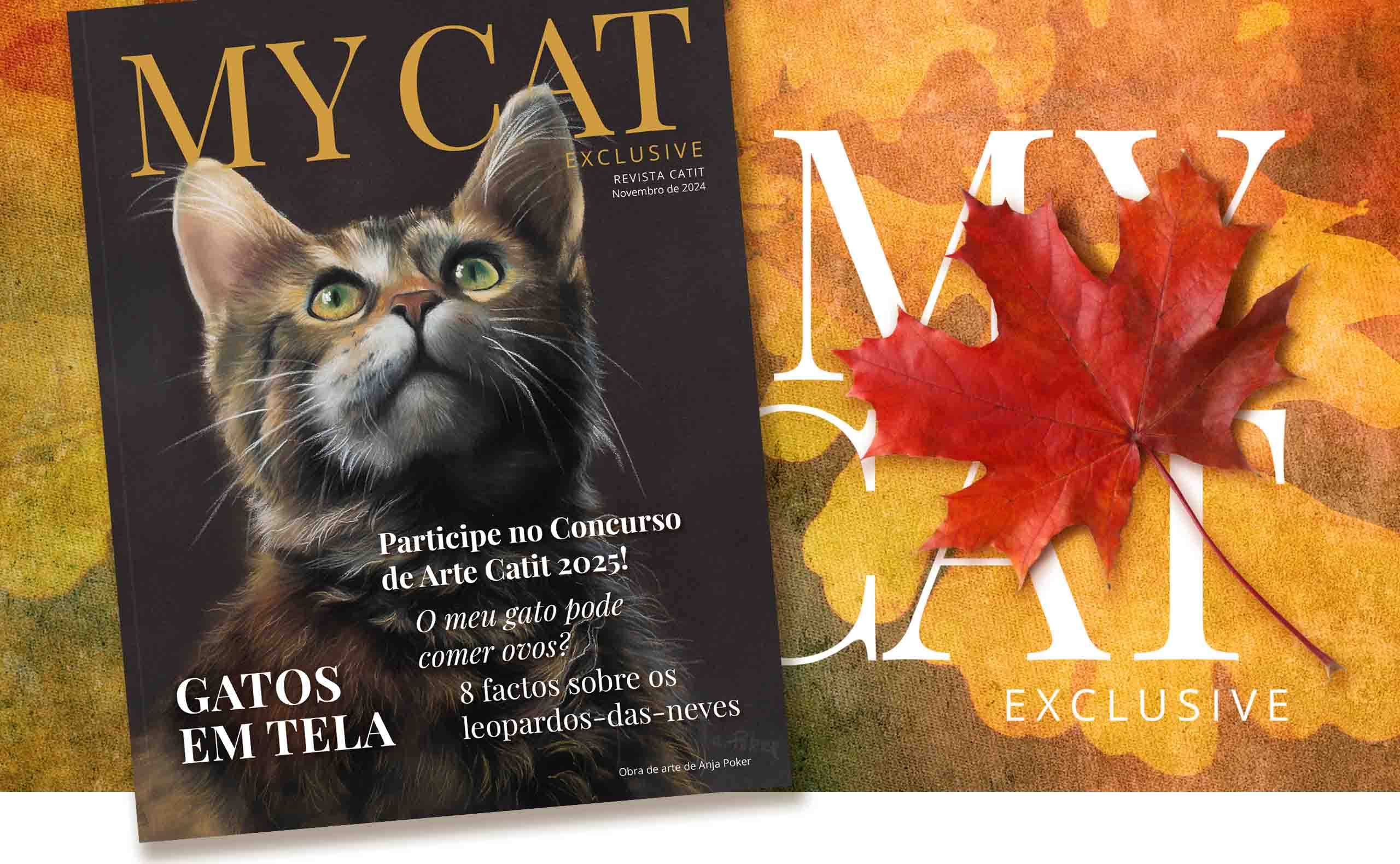 Catit magazine cover for November 2024 featuring an artistic cat portrait and articles on cat nutrition and snow leopards