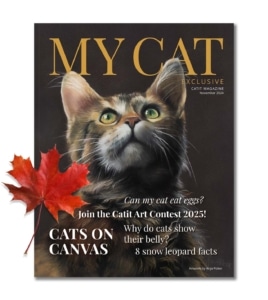 Cover of the November 2024 My Cat magazine featuring an artistic portrait of a cat and articles about cat care and art