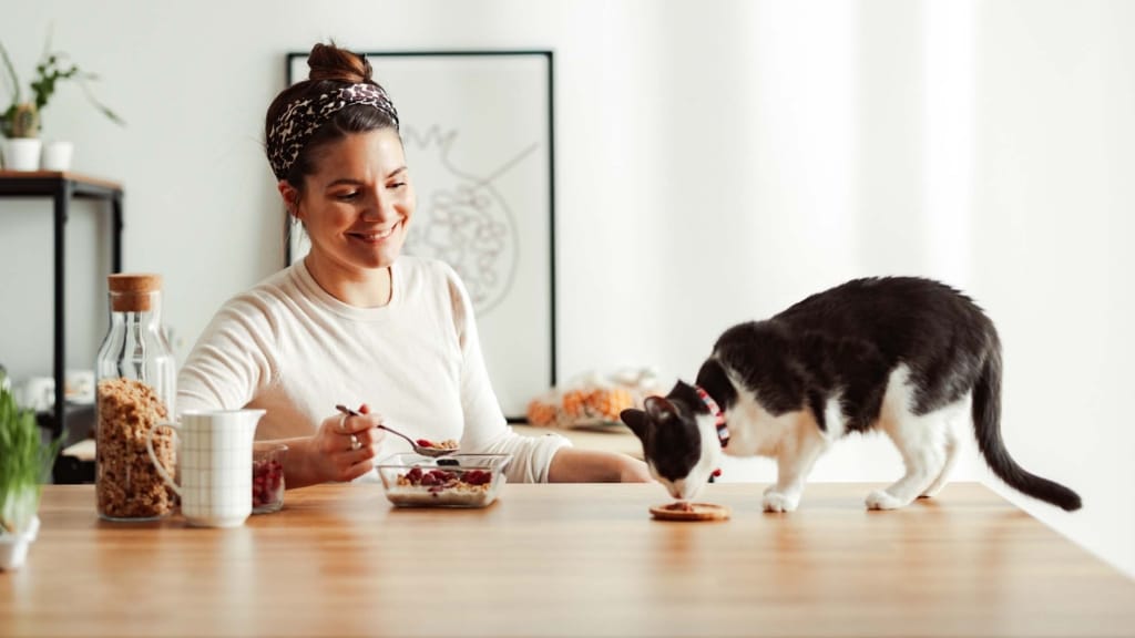 A woman smiles while eating breakfast at a table next to her cat, who is eating a treat from a small plate