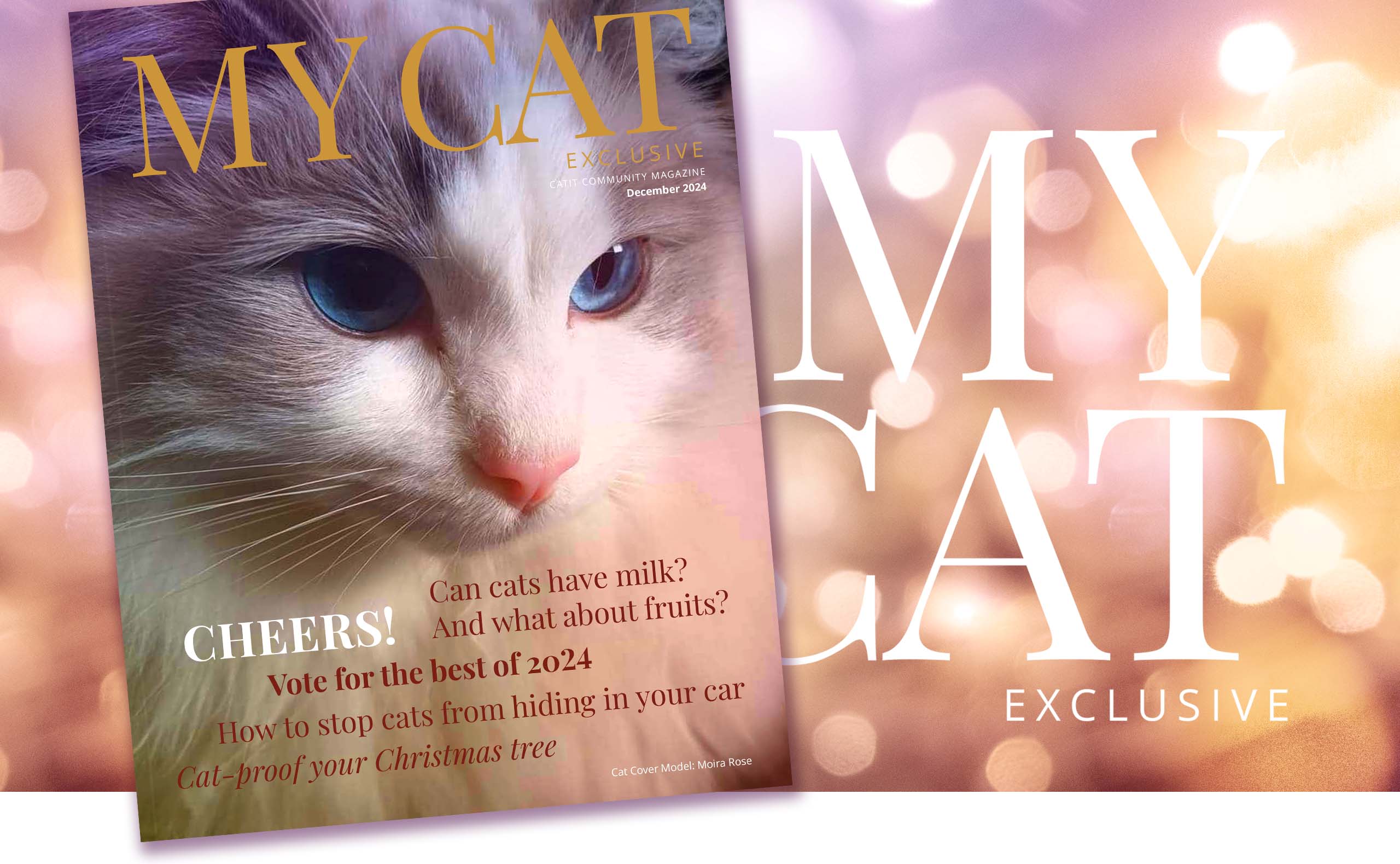 Catit Community Magazine December 2024 issue cover featuring a cat and articles on cat nutrition, safety, and holiday tips