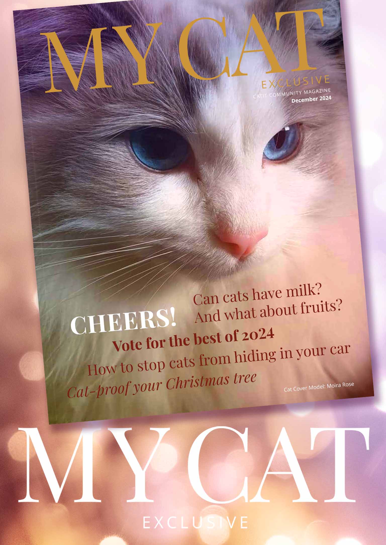 December 2024 issue of My Cat magazine featuring a white cat and articles on cat care, holiday tips, and 2024 voting