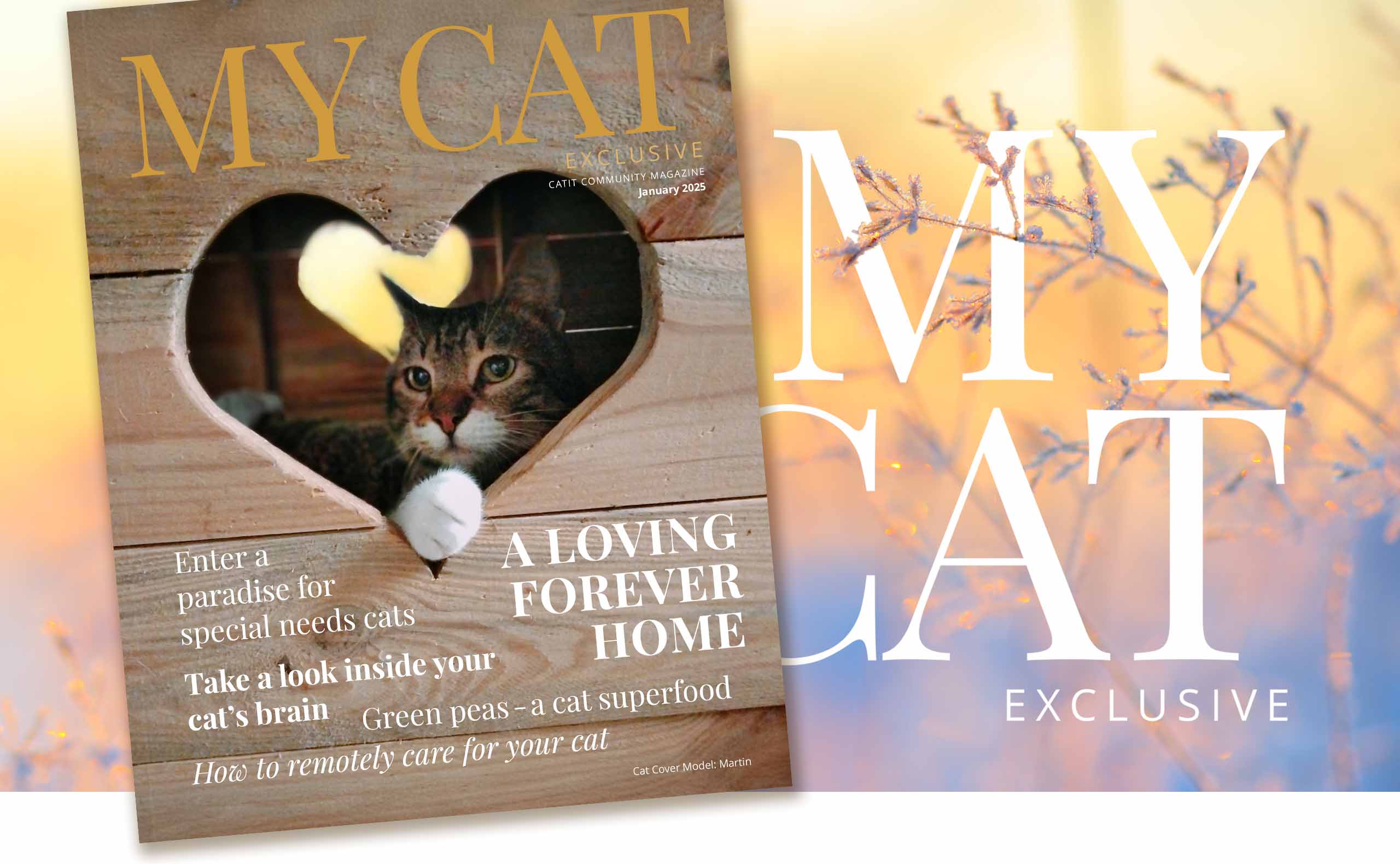 January 2025 issue of My Cat magazine featuring articles on special needs cats, cat brain health, and remote pet care