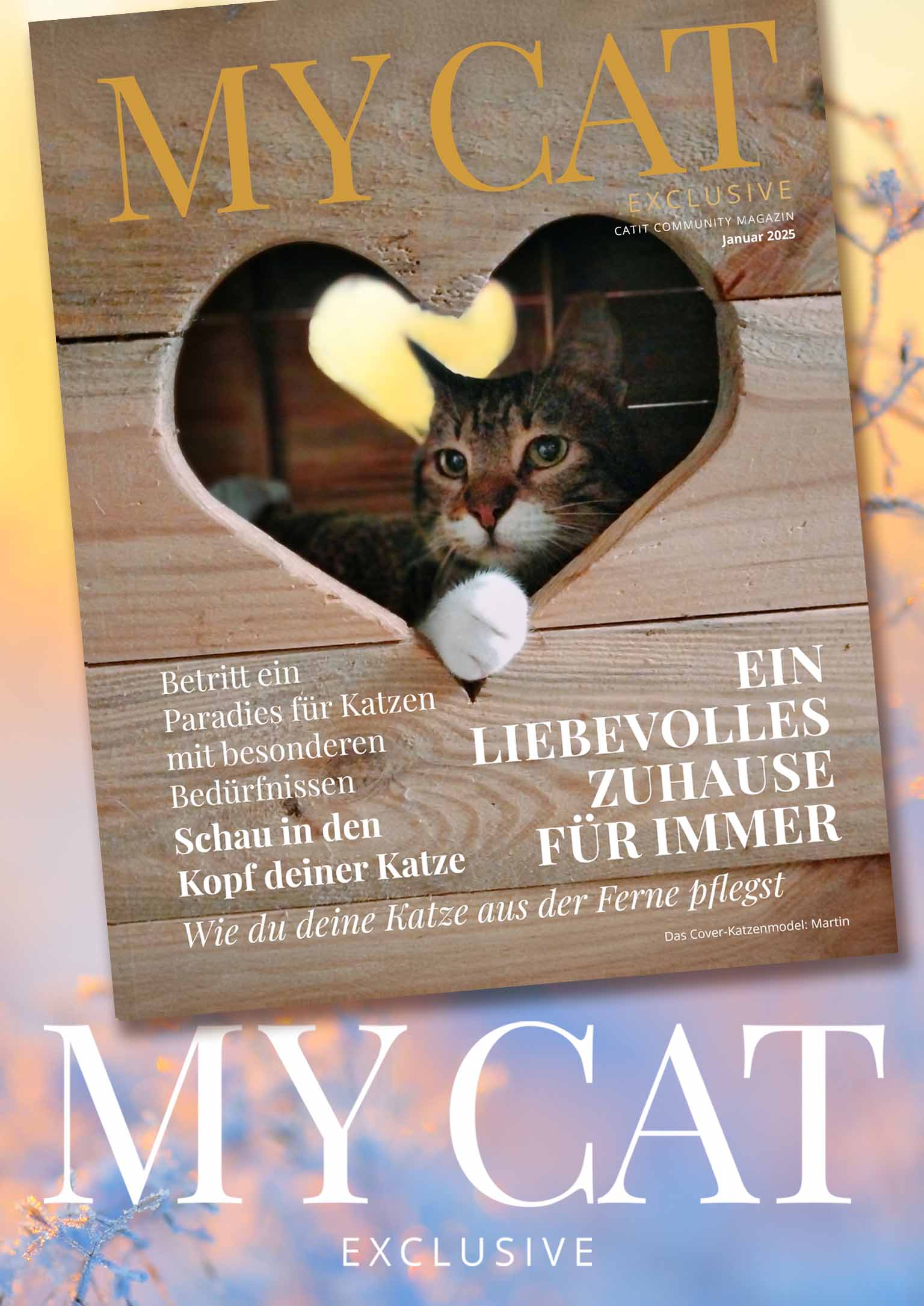 Catit e-magazin / Januar 2025