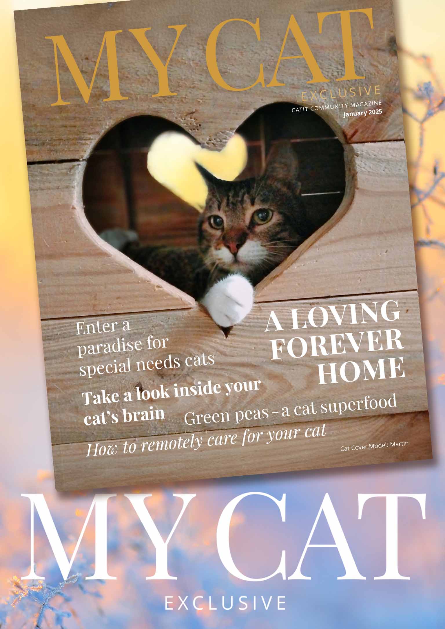 January 2025 issue of My Cat magazine featuring a cat in a heart-shaped cutout and articles on cat care and nutrition