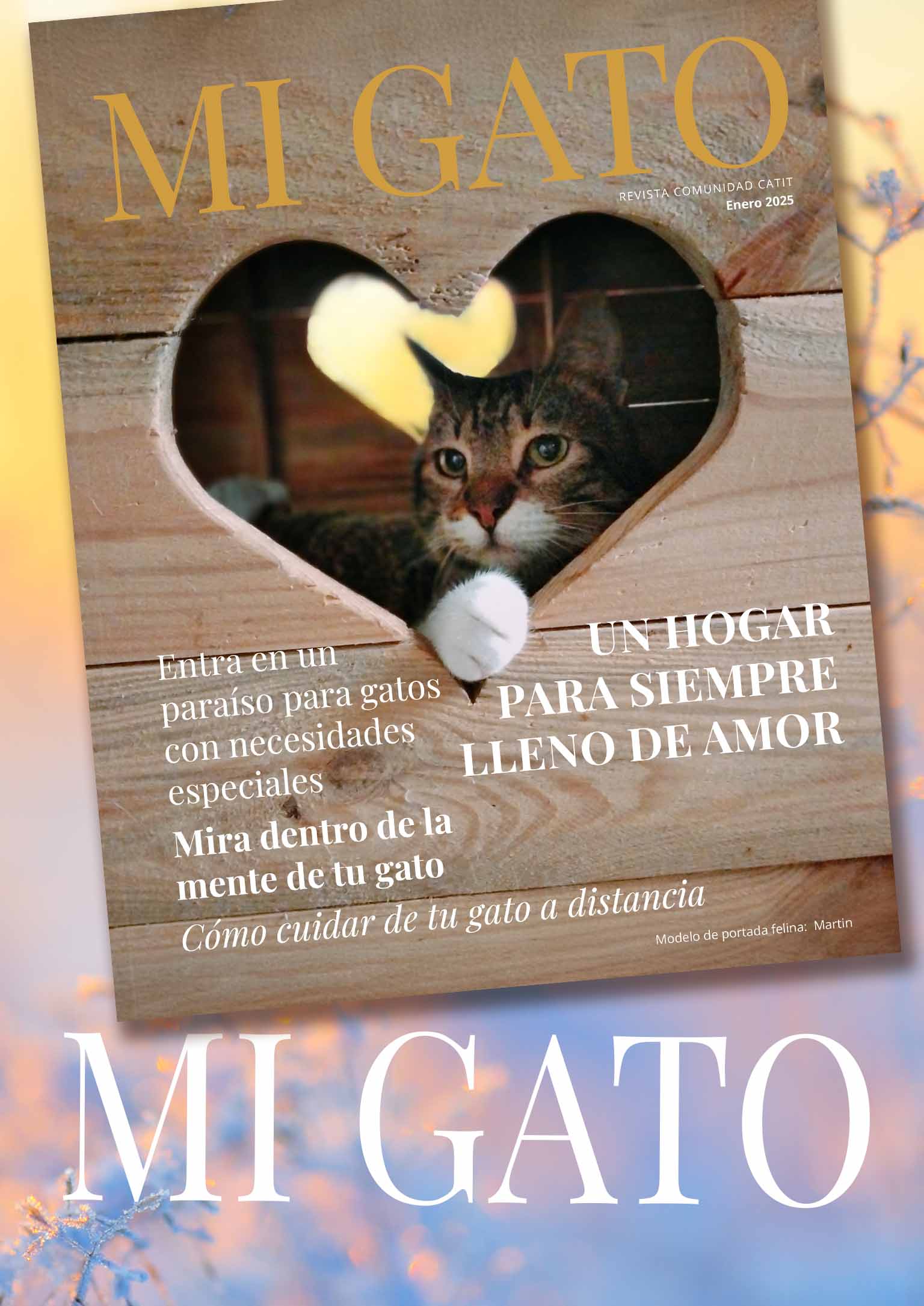 Revista Catit / Enero 2025