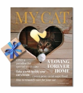 January 2025 issue of My Cat magazine featuring a cat in a heart-shaped cutout and articles on cat care and nutrition