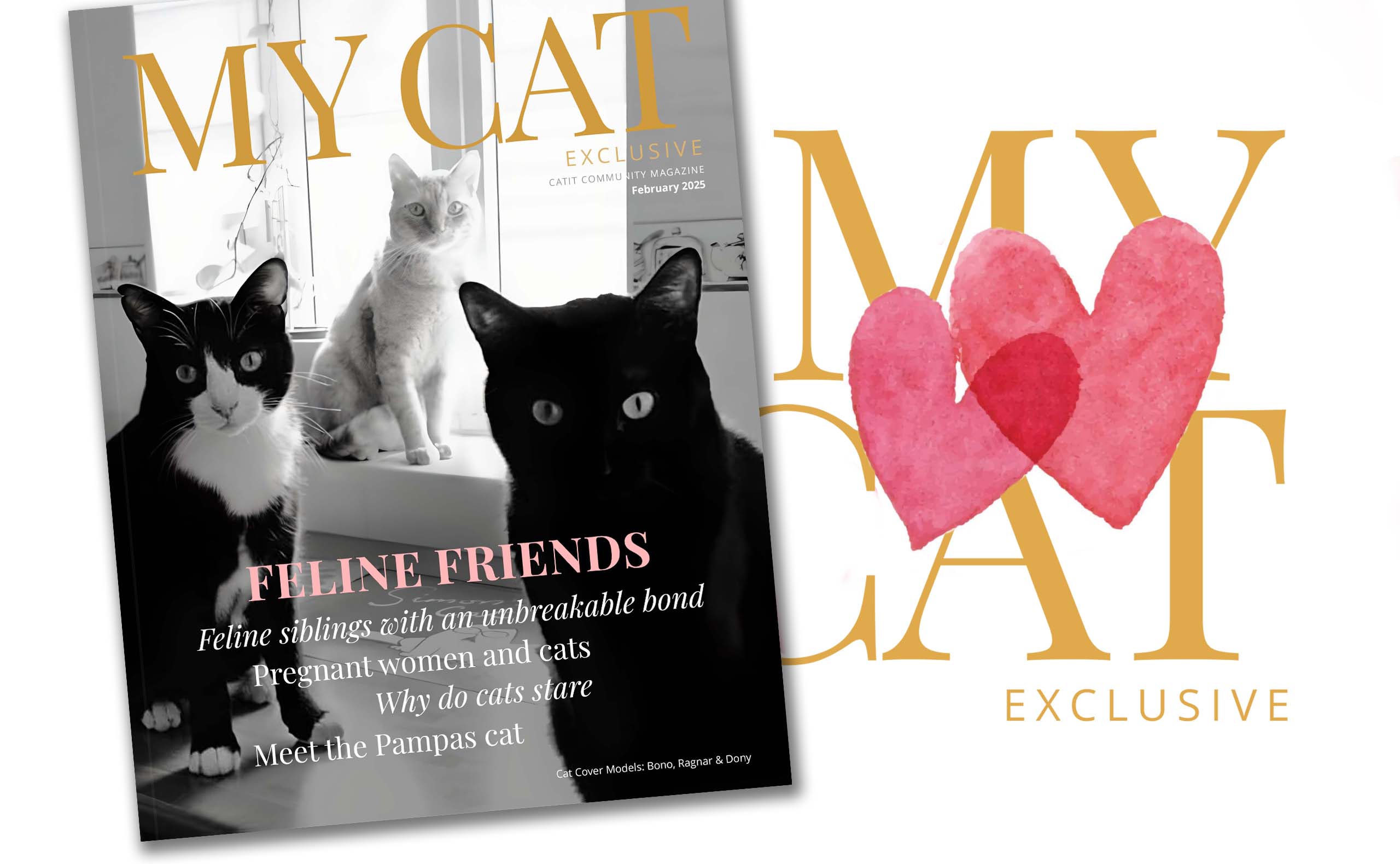My Cat magazine cover for February 2025 featuring articles on feline bonds, pregnancy, cat behavior, and the Pampas cat