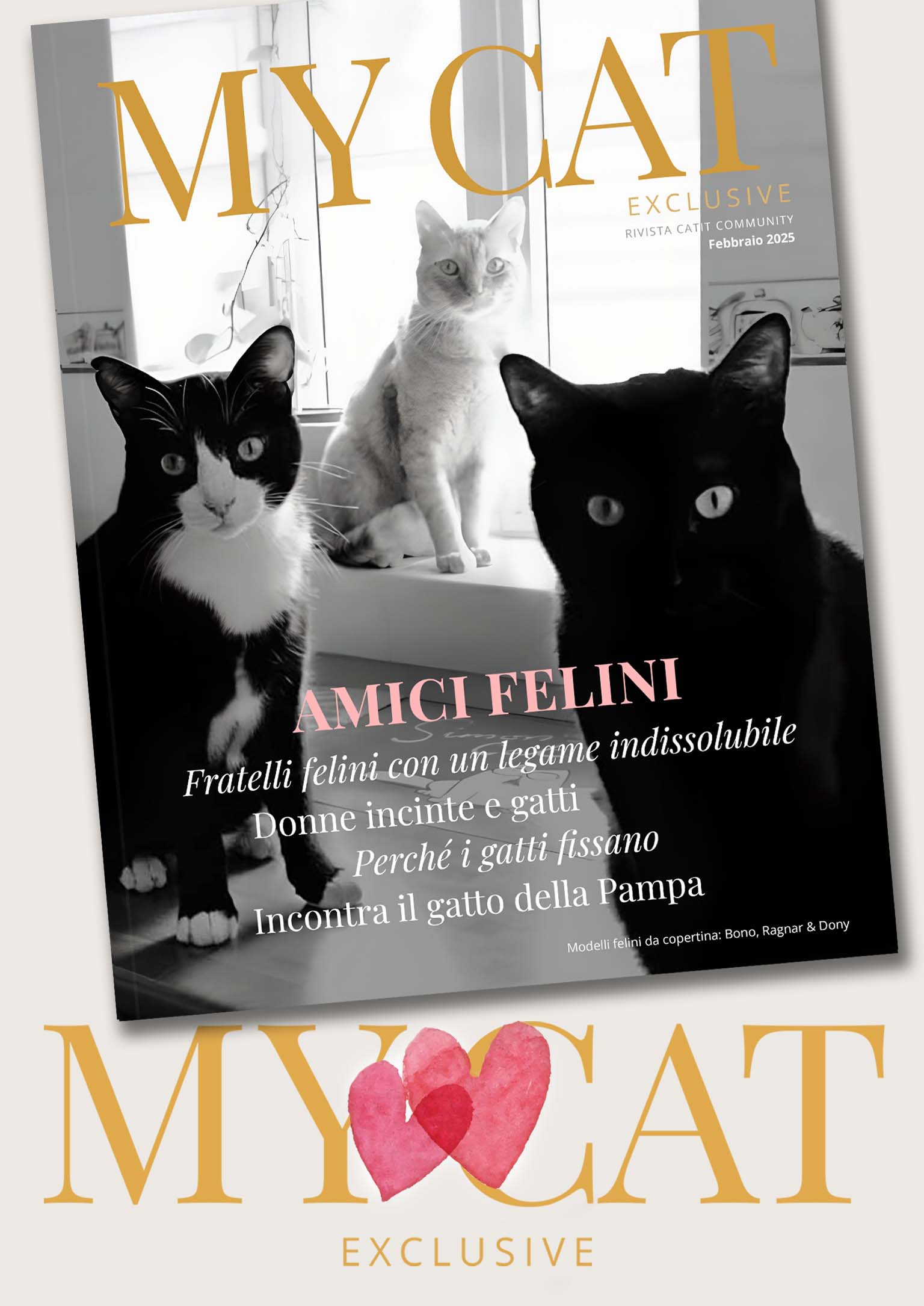 Rivista Catit / Febbraio 2025