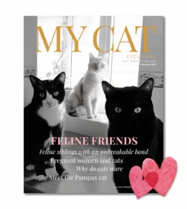 February 2025 issue of My Cat magazine featuring three cats and articles on feline bonds, pregnancy, and Pampas cats