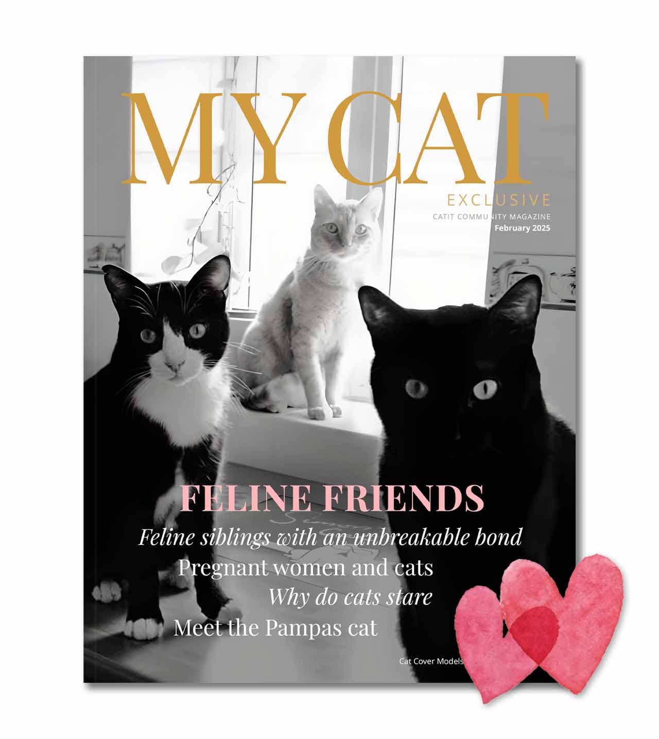 My Cat Exclusive – February 2025 - Catit