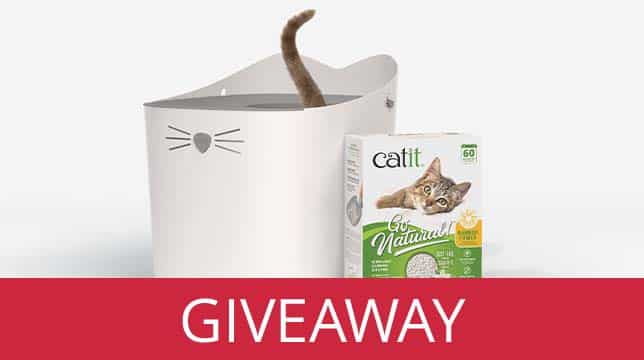 Catit litter box and Go Natural cat litter packaging for a giveaway