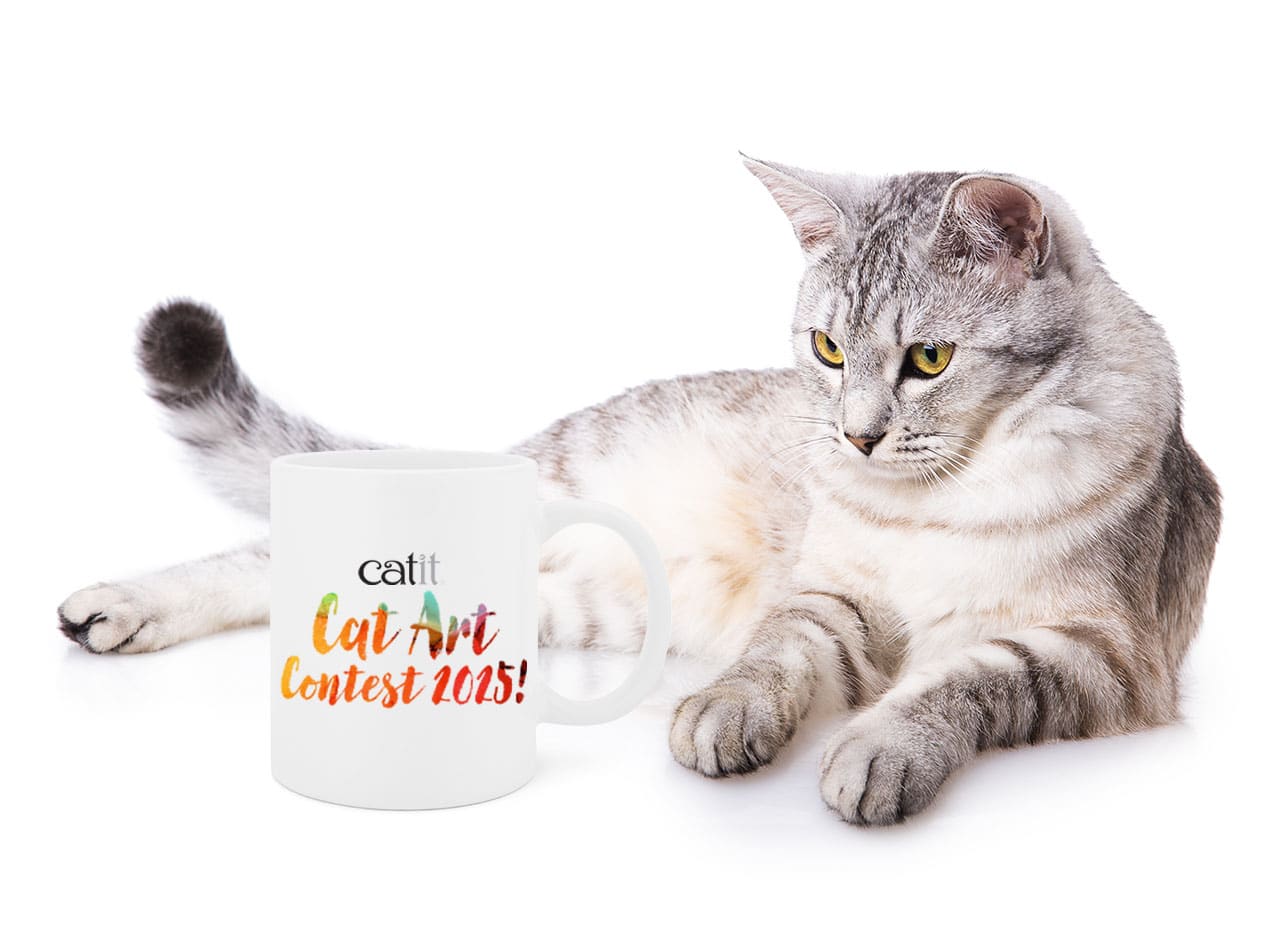 A silver tabby cat lying next to a white mug that reads Catit Cat Art Contest 2025