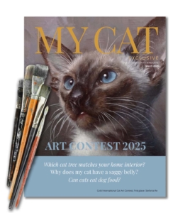 My Cat magazine cover for March 2025 featuring a portrait of a cat and articles on cat trees, saggy bellies, and diet