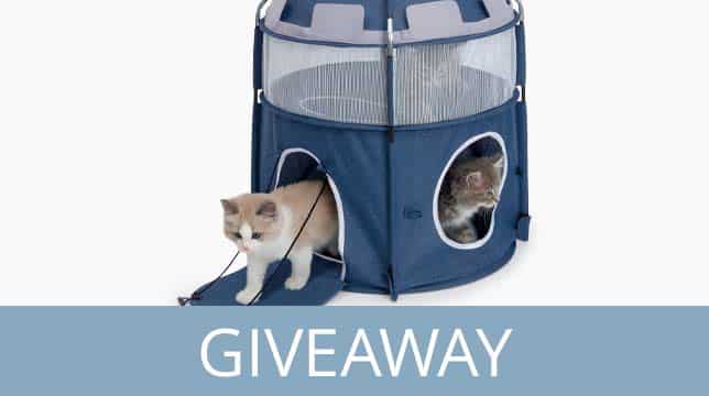Two kittens playing in a blue, multi-level cat play tent with a giveaway promotion banner