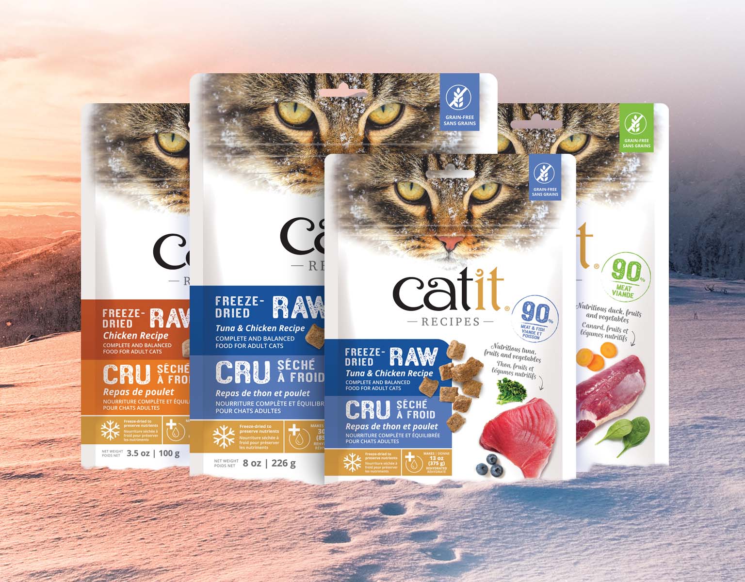 Four packages of Catit Recipes freeze-dried raw cat food in various flavors, displayed against a snowy landscape background