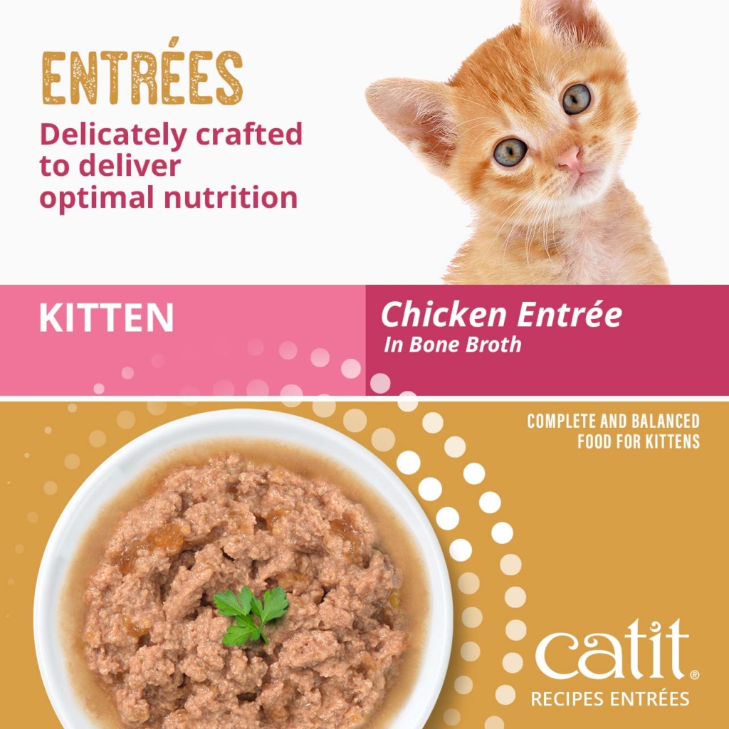 Catit Kitten Chicken Entrée in Bone Broth wet cat food, a complete and balanced meal for kittens