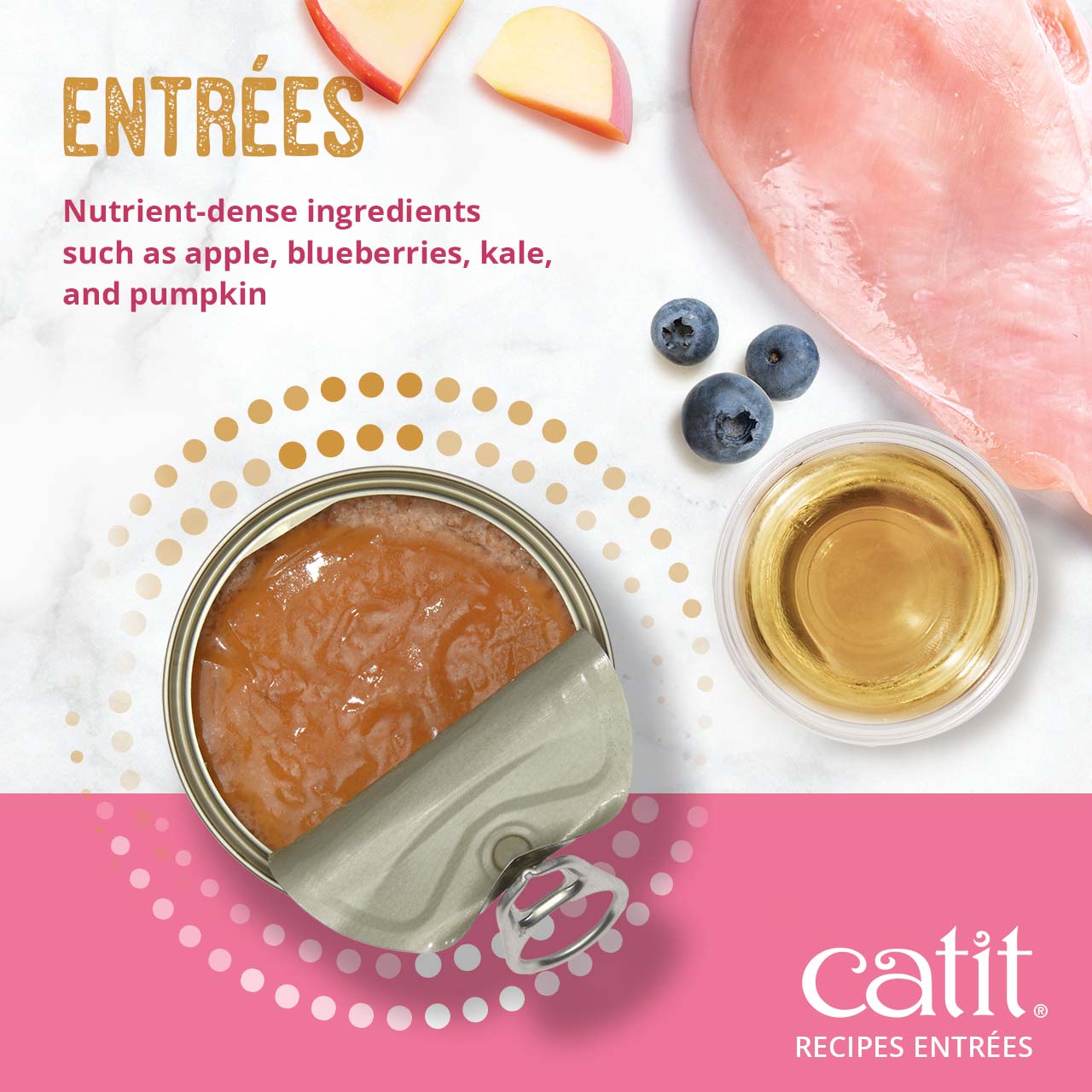 Catit Recipes Entrées wet cat food featuring nutrient-dense ingredients like apple, blueberries, kale, and pumpkin