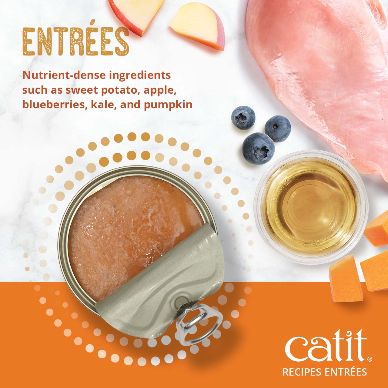 Catit Recipes Entrées wet cat food featuring nutrient-dense ingredients like chicken, sweet potato, apple, and blueberries