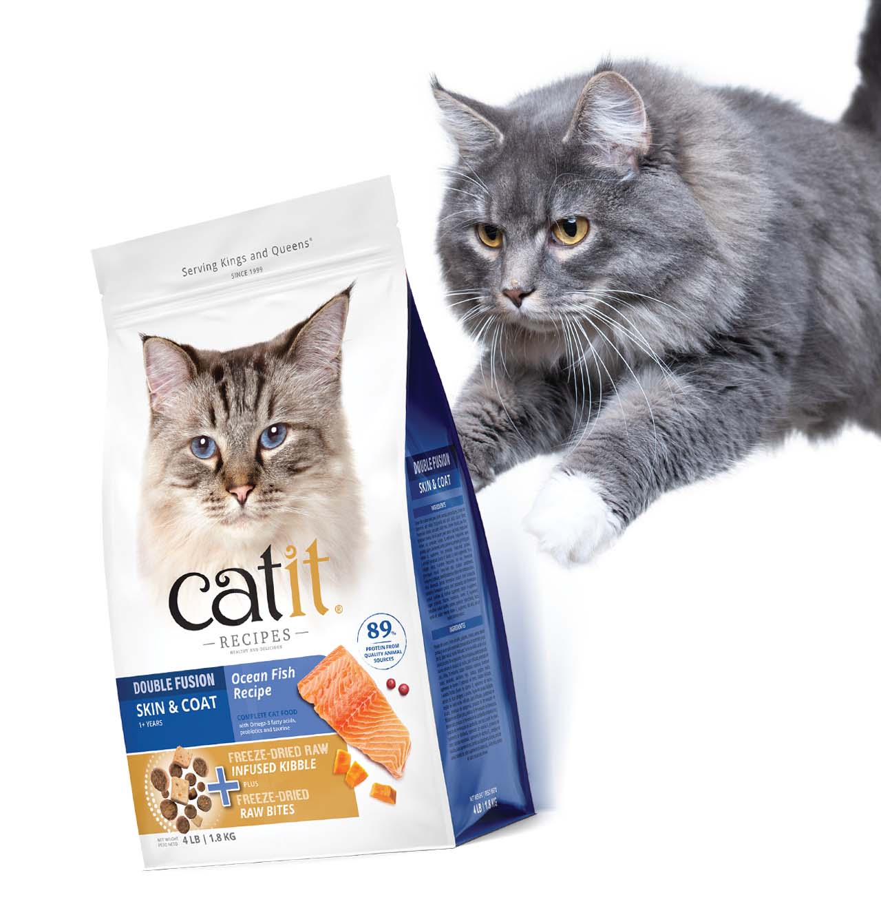 A fluffy grey cat jumps toward a bag of Catit Ocean Fish Recipe cat food, which features freeze-dried raw bites and kibble