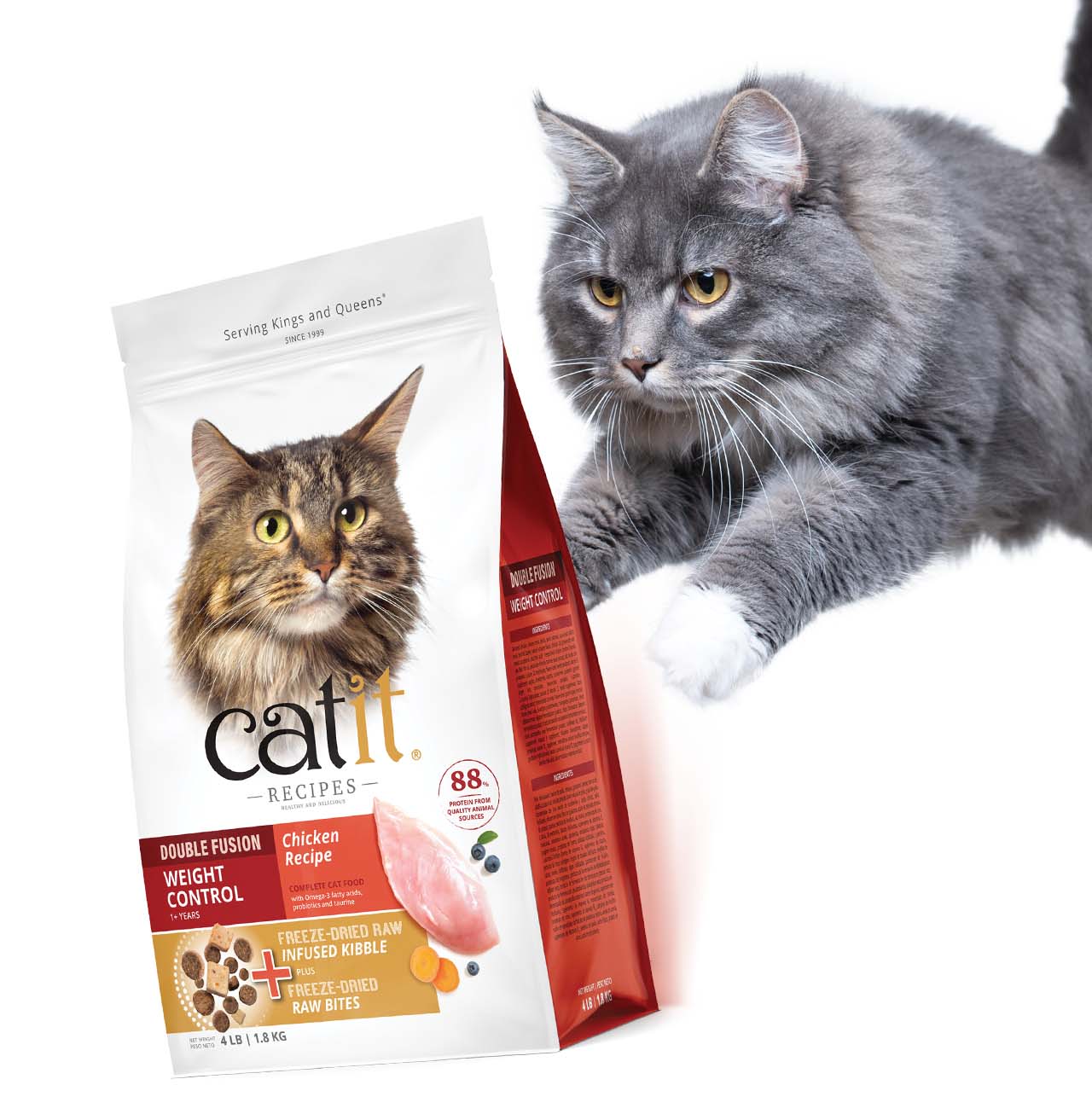 A gray cat reaching toward a bag of Catit Double Fusion Weight Control chicken recipe cat food