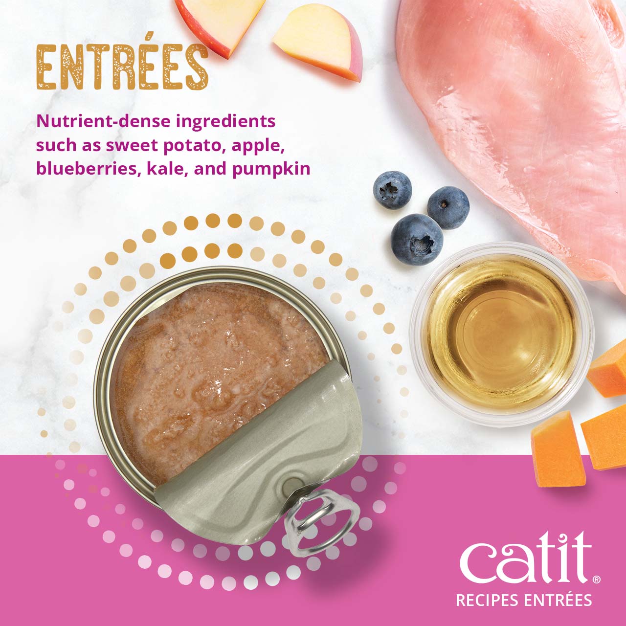 Catit Recipes Entrées wet cat food featuring nutrient-dense ingredients like sweet potato, apple, blueberries, and pumpkin