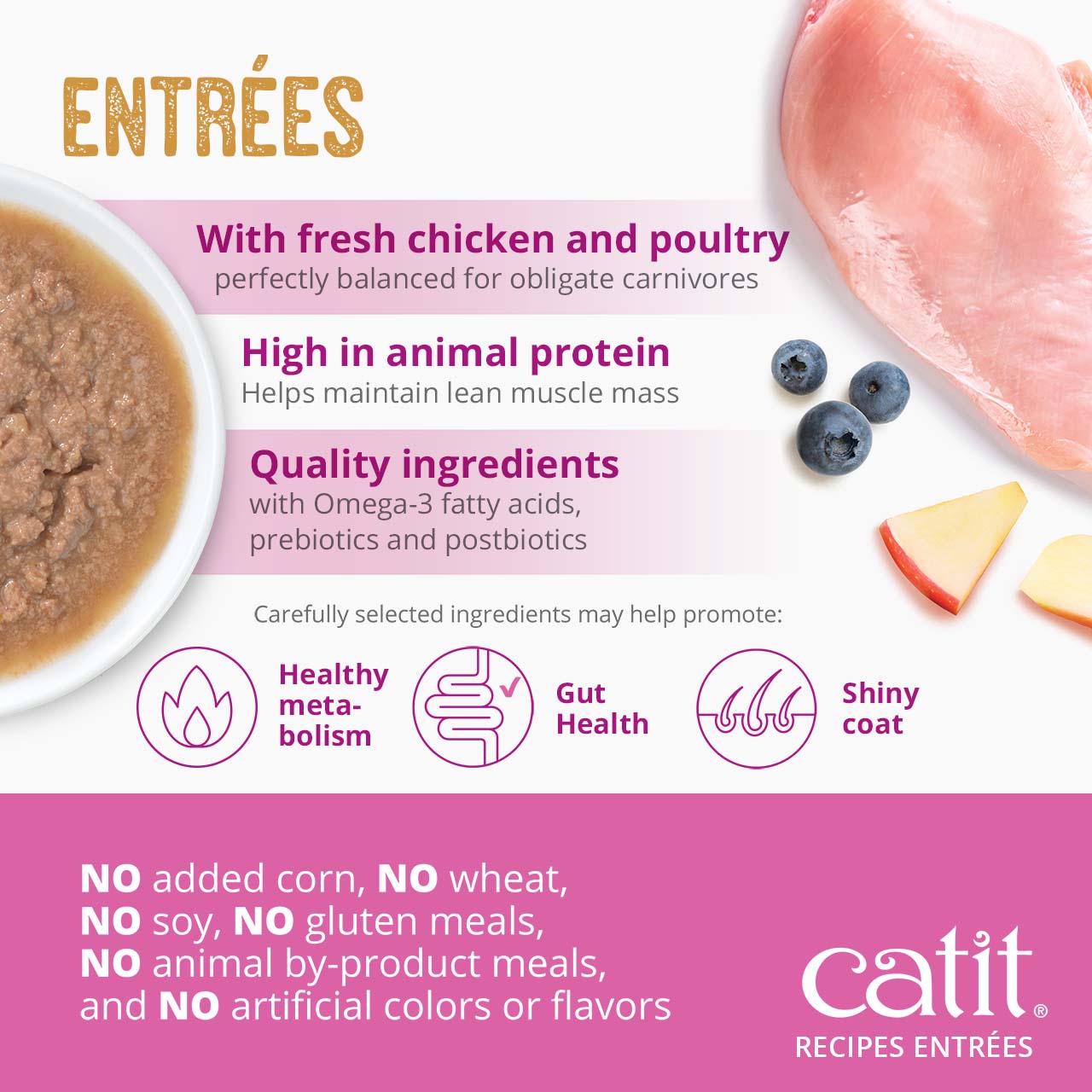 Catit Recipes Entrées cat food features fresh chicken, high animal protein, and quality ingredients for health benefits