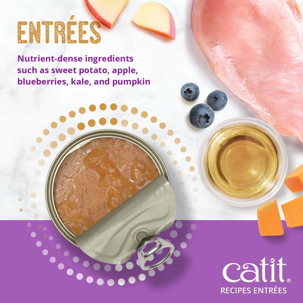 Catit Recipes Entrées wet cat food featuring nutrient-dense ingredients like sweet potato, apple, blueberries, and pumpkin
