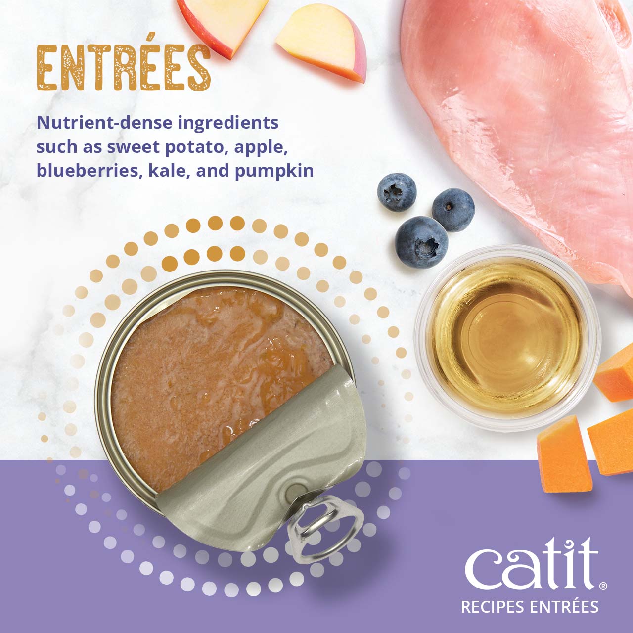Catit Recipes Entrées wet cat food features nutrient-dense ingredients like sweet potato, apple, blueberries, and pumpkin
