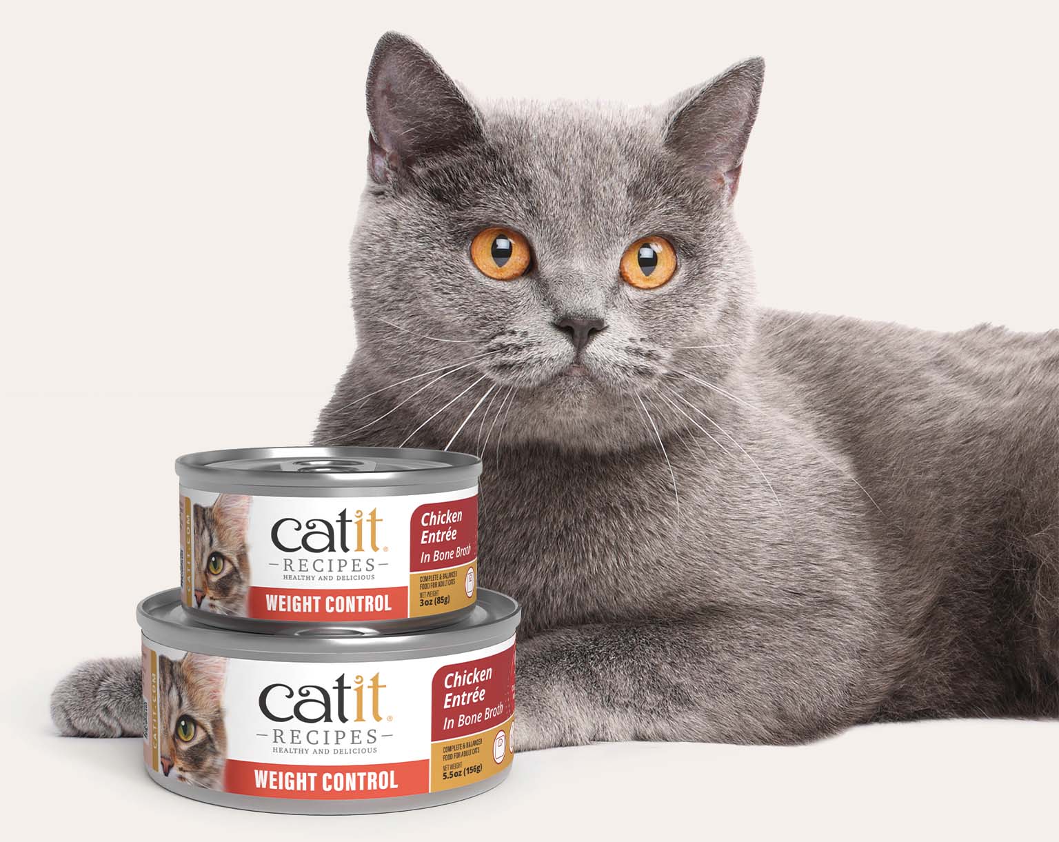 A grey cat lying next to two cans of Catit Weight Control Chicken Entrée in Bone Broth cat food