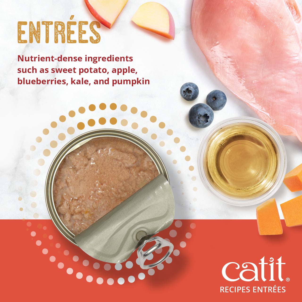 Catit Recipes Entrées wet cat food featuring nutrient-dense ingredients like sweet potato, apple, blueberries, and pumpkin