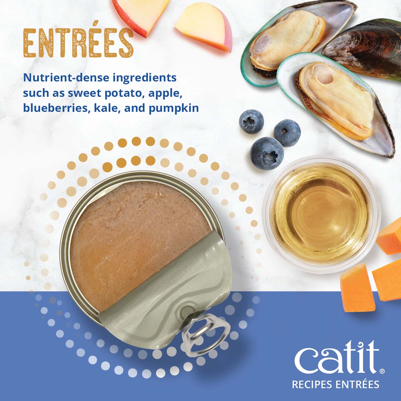 Catit Recipes Entrées wet cat food featuring nutrient-dense ingredients like sweet potato, apple, blueberries, and pumpkin